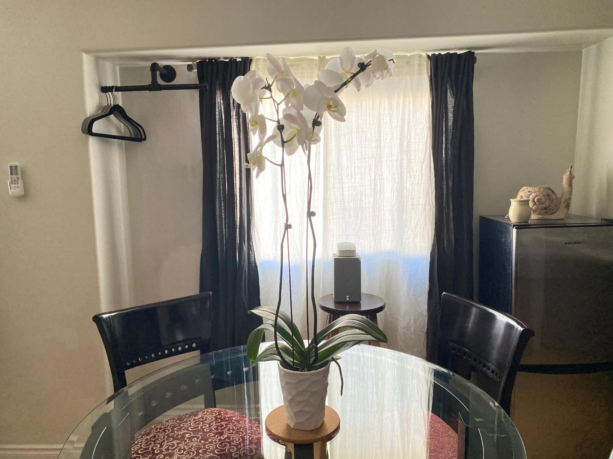 Old Town 2 Apartment *